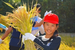 刈った稲を満足そうに手に取る笑顔の児童