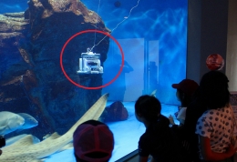 海中ロボット（ペンギン水族館で行ったイベントの様子）